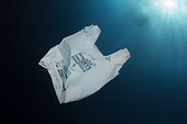 Half-sunken plastic bag and drift. Curiously, these types of bags are a supposed achievement in terms of recycling and protection of the environment since they carry numerous propagandistic stamps that announce it... even so, they continue to be a danger to many marine species. The place does not matter if not the consequences.