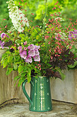 Country bouquet: flowers from the garden, Coralbell (Heuchera sp), Foxglove (Digitalis sp),Larkspur (Delphinium consolida)