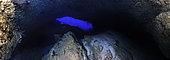 Vue panoramique de la grotte sous marine. Un Panorama à 180° qui pèse pas moins de 150 millions de pixel réalisé à l’entrée de la grotte à une profondeur de 60 m. La zone sombre qui se trouve sur la droite est trop éloignée pour que mes flashs éclairent à cette endroit. Le petit point lumineux est la lampe de mon ami Olivier. Grotte sous-marine immergée, Mayotte