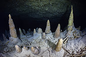 The stalagmite field. A bird's eye view of the stalagmite field that adorns the penultimate room. They are located at a depth of 70 metres. Underwater cave, Mayotte