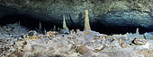 And in the middle, stalagmites. Panorama taken at a depth of 70 metres and 100 metres from the cave entrance. You can see the concretions in the foreground and some fragments of stalactites. Underwater cave, Mayotte