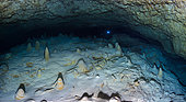 Underwater cave panoramic view. A 267 million pixel panoramic view to try to capture the atmosphere of this very special place. Underwater cave, Mayotte