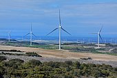 Erla wind farm, Aragon, Spain