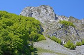 Hikers walking to the Aran rock, Ossau Valley, Pyrénées Atlantiques, France