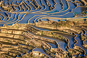 Honghe Hani Rice Terraces in Yuanyang County. Yunnan Province. China.