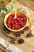 Soft fruit dessert: Raspberries and red currants from the garden in a wooden bowl, country atmosphere, table decoration: pine cones and flowers on a burlap doily