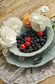 Blue plate full of blueberries and cherries from the garden, flowered table in the country with old lace to embellish the tables