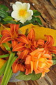 Orange Daylily (Hemerocallis fulva) and Rose (Rosa sp) in a bouquet on a wooden table