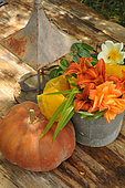 Orange Daylily (Hemerocallis fulva) and Rose (Rosa sp) in a bouquet in a tin bucket and squash on a wooden table