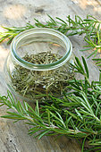 Rosemary (Rosmarinus officinalis). Fresh and dried rosemary in a glass jar, medicinal and aromatic plant