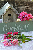 Emera roses and other varieties, grey 'Cocktail' message sign and birdhouse as decoration