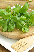 Basil (Ocimum basilicum), Basil in the kitchen, a wooden dish and utensil, fresh basil leaves