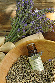Lavender (Lavandula sp), flower bouquet, dried flowers and essential oil bottle, medicinal plant, benefits