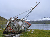 Old boats at fjord Ingolfsfjoerdur. The Westfjords (Vestfirdir) in Iceland during late autumn Herbst. Europe, Northern Europe, Iceland