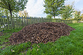 Pile of shredded plant material in a garden, autumn, Pas de Calais, France
