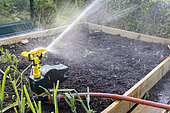 Water jet repelling animals in a vegetable patch, summer, Pas de Calais, France