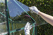 Installation of the glazing, Setting up a garden greenhouse, Pas de Calais, France