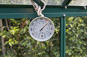 Hanging a ThermometerSetting up a garden greenhouse, Pas de Calais, France