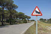 Lynx roadsign in Donana National Park, Andalusia, Spain.