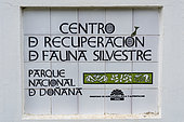 Centro de Cría del Lince Ibérico El Acebuche, Donana National Park, Andalusia, Spain.