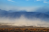 Sand wind near Stovepipe Wells. California. Death valley national park, USA