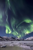 Northern lights over the Senja Island, Troms, Norway, Europe