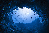 Under the Hole, la porte de la zone mésophotique, sous une arche en lumière naturelle à 60 mètres de profondeur. Mayotte