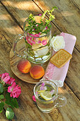 Boisson rafraichissante à la menthe (Mentha spicata) dans une carafe avec pétales de roses (Rosa sp) et Citron (Citrus limon), vertus, Pause bien-être