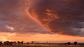 Storm clouds. Serengeti National Park. Tanzania