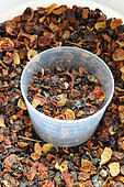 Dried rose hip, natural source of vitamin C for horses, and measuring container