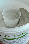 Lithothamnion, food supplement for horses based on red algae, source of calcium and magnesium.