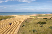 Harvesting a barley field on the Opal Coast in summer, Pas de Calais, France