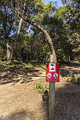 Forest fire prevention sign on Porquerolles Island, Var, France