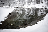 Reflection in a pond in winter, Haute Ubaye, Alpes de Haute Provence, France