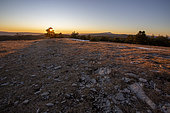 Crests of the Lure mountain and Mont Ventoux at sunset, Alpes de Haute Provence, France