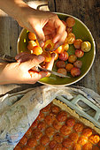 Mirabelle plums, yellow plums, pitting the fruit, homemade mirabelle plum tart, in the kitchen
