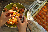 Mirabelles, prunes jaunes, dénoyauter les fruits, tarte aux mirabelles maison, en cuisine