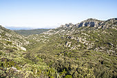 The Opies, highest point of the Alpilles massif, Provence-Alpes-Côte d'Azur, France Sector that burned in the summer of 2022