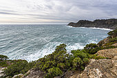 South coast of Porquerolles Island, Var, Port Cros National Park, France