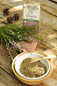 Heather (Calluna vulgaris), flowers in infusion for its virtues,