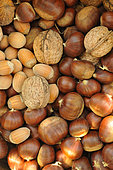 Chestnuts (Castanea sativa), Nuts (Juglans regia), Hazelnuts (Corylus avellana), health benefits, autumn fruits