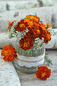 Small charming bouquet of French marigolds (Tagetes patula) and Milfoil (Achillea millefolium)