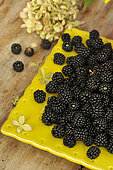 Harvest of wild blackberries