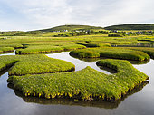 Isle of Harris, part of the island Lewis and Harris in the Outer Hebrides of Scotland. The coastal salt marsh near Northton during sunset. Europe, Scotland, July