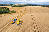 Combine harvester harvesting wheat, Chearsley,Aylesbury, England