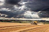 Combine harvester harvesting wheat, England