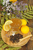 Cloves (Syzygium aromaticum), clove and lemon (Citrus limon) infusion, flowers and fern fronds