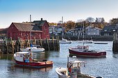 Red fishing shack in the harbor, Bradley Wharf, Bearskin Neck, Rockport, Cape Ann, Massachussets, New England, USA, North America