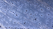Aerial view of a swampy area taken by ice in winter - city of Couffy - Loir et Cher - France