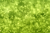 Volvox (Volvox sp) colony near the surface in a pond - city of Couffy - Loir et Cher - France
